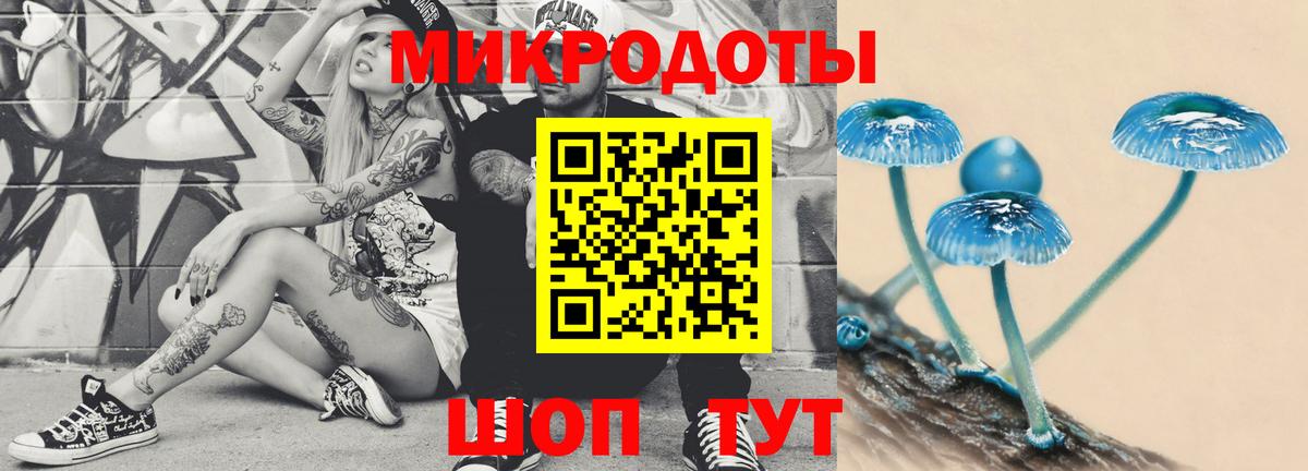 Галлюциногенные грибы Cubensis Камышин